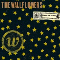 永恒的经典 The Wallflowers之《One Headlight》赏析